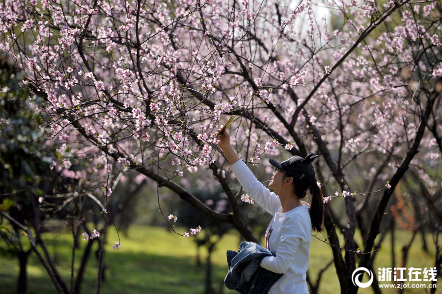 2019醫(yī)保成績單出爐：418萬因病致貧人口脫貧