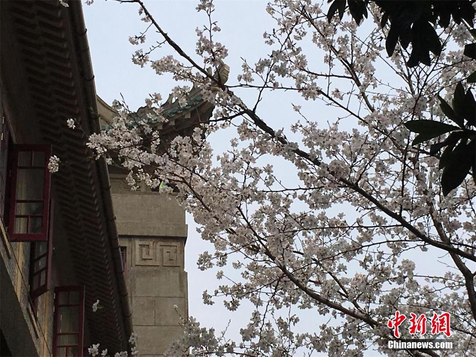 孫繼海:在中國(guó)踢球心很累 足球沒(méi)站起來(lái)卻先富起來(lái)