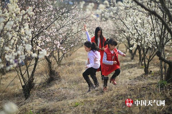 吉利汽車業(yè)績公布，今年141萬輛銷量目標(biāo)不調(diào)整
