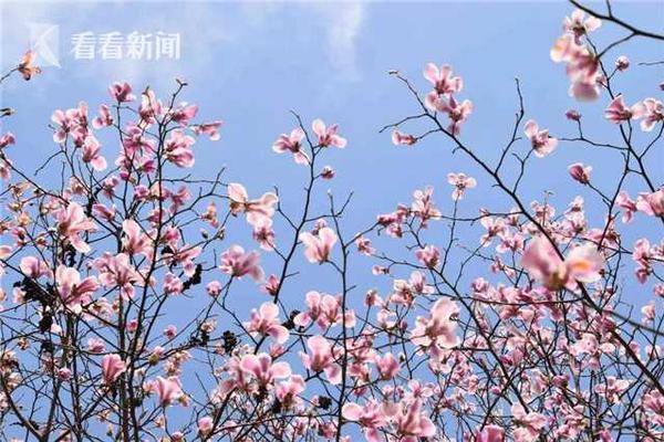 5年限售、限購(gòu)1套……“硬核”樓市調(diào)控來(lái)了！