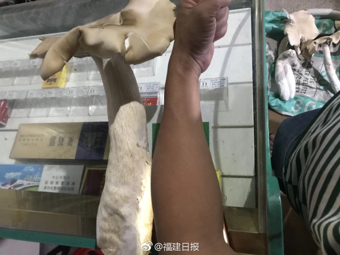 教育部召開視頻會，明確2020年高考堅持“健康第一”“公平第一”
