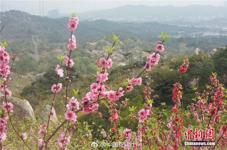 袁詠儀素顏逛商場(chǎng)，襯衫加牛仔褲再普...