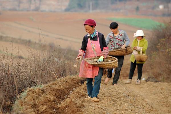 習(xí)近平對(duì)四川西昌森林火災(zāi)作出重要指示