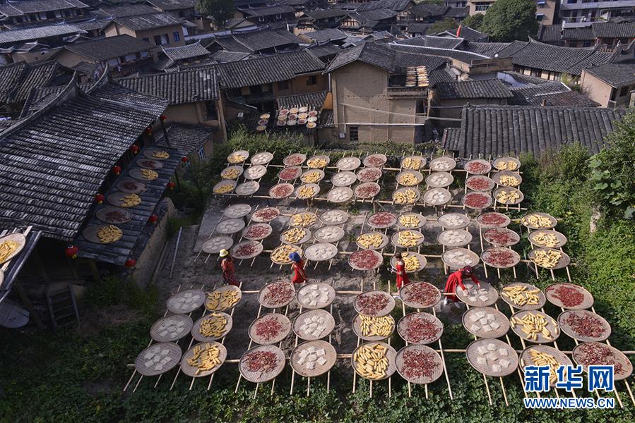 德國想要廢除家庭作業(yè)