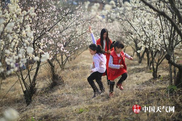 獨(dú)家版權(quán)將到期 網(wǎng)易阿里抖音環(huán)伺下騰訊音樂(lè)往哪走