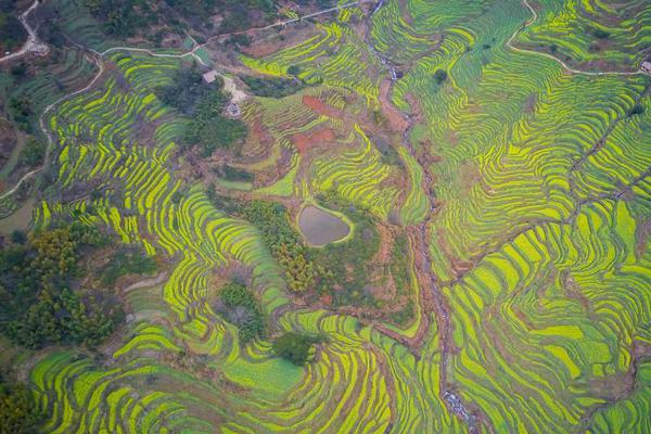 一聲巨響!火箭殘骸掉落陜鄂交界處,標(biāo)注