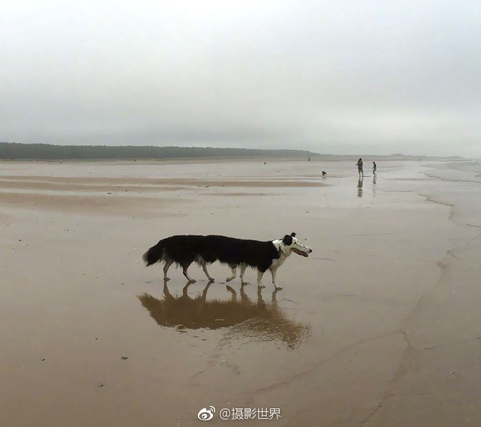 預告:中國科大報考解讀