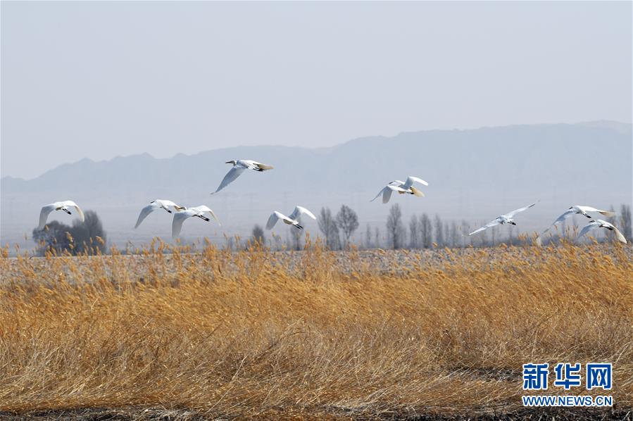 印度耕地面積世界第二，為什么還不能喂飽印度人？