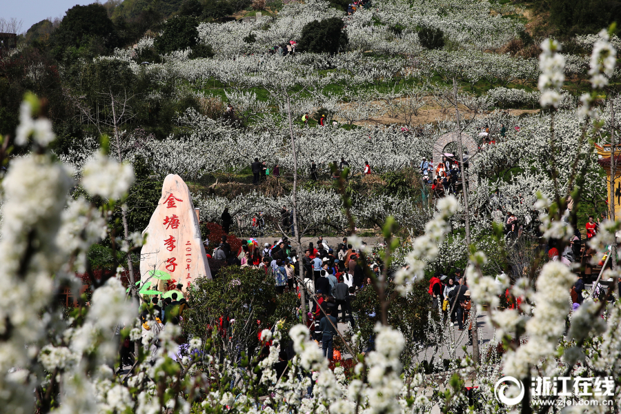 劉俏：沒什么比正確地回答錯誤的問題更危險的