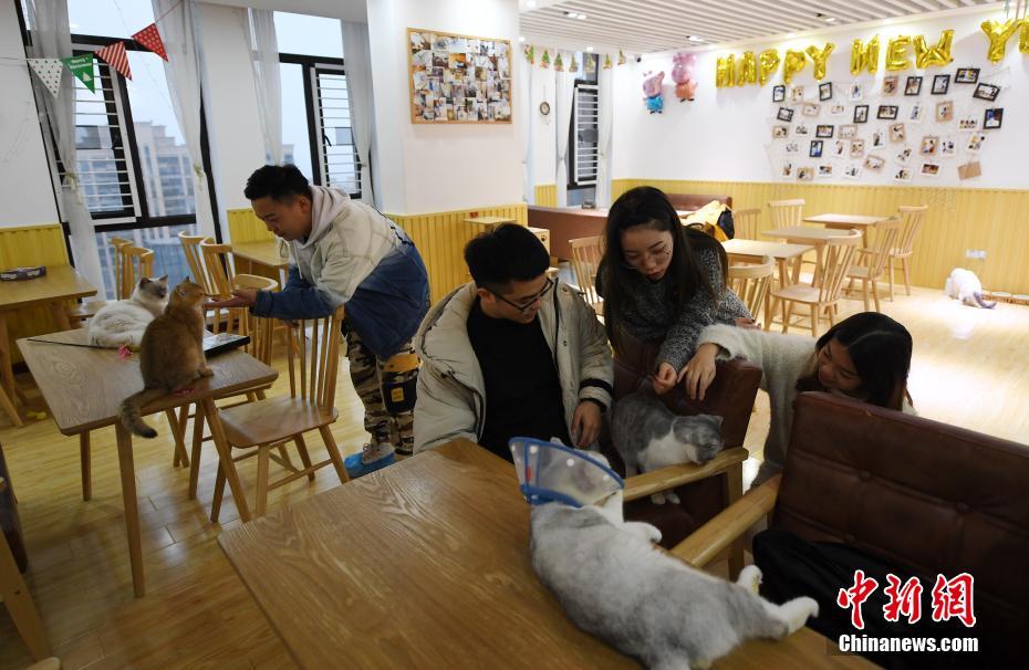 一季度豪華品牌銷量：寶馬增速超奔馳奧迪 二線雙雄下滑