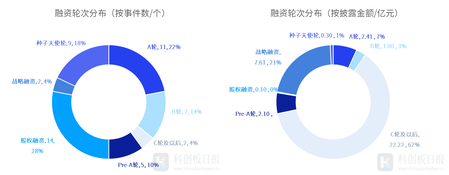 當(dāng)一只網(wǎng)紅小貓離開人間