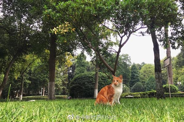 西方媒體炒作軍費增長 中國被劃成和美國一撥了