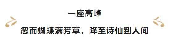緣夢基金：為民圓夢 讓愛團圓