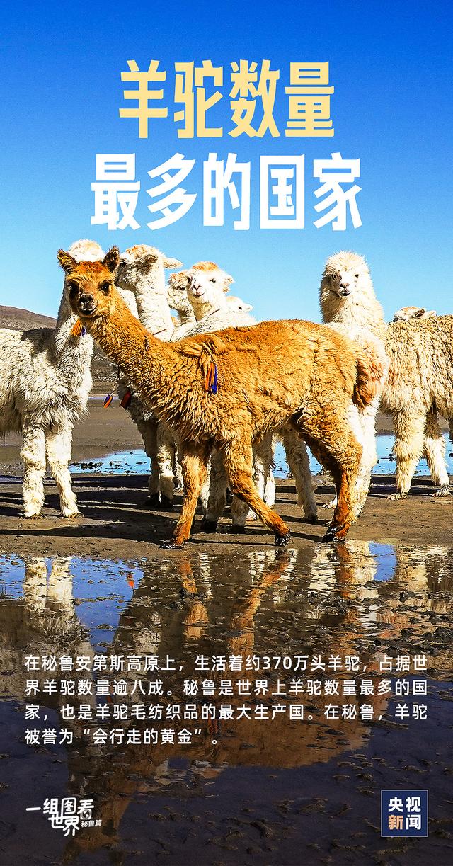 組圖：董璇深夜獨(dú)自現(xiàn)身機(jī)場(chǎng) 衣著干練低調(diào)紅唇顯好氣色