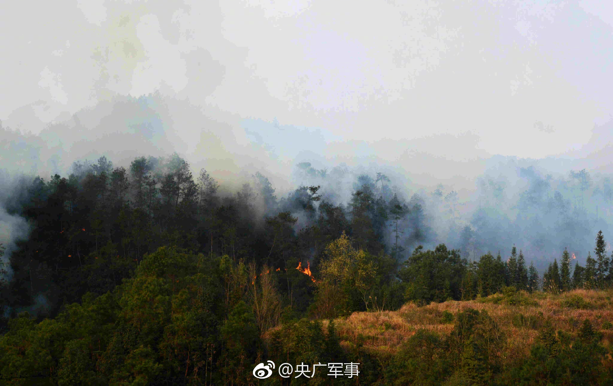 章子怡一襲紅裙美得驚艷！4歲醒醒穿牛仔與媽媽同框，氣質(zhì)不得了