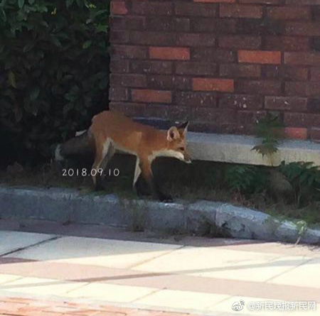 今年前三個月北京乘警火車上查獲在逃嫌疑人10名