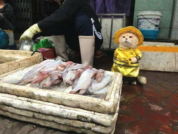 深度|鎖定三巨頭!透支未來組銀河戰(zhàn)艦劃算么?