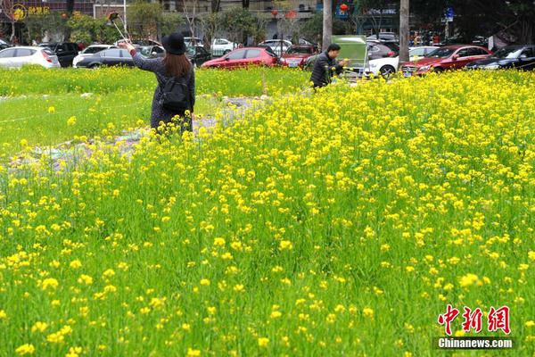 揭婚戀網(wǎng)行騙套路：根據(jù)聊天程度誘導(dǎo)下載詐騙APP