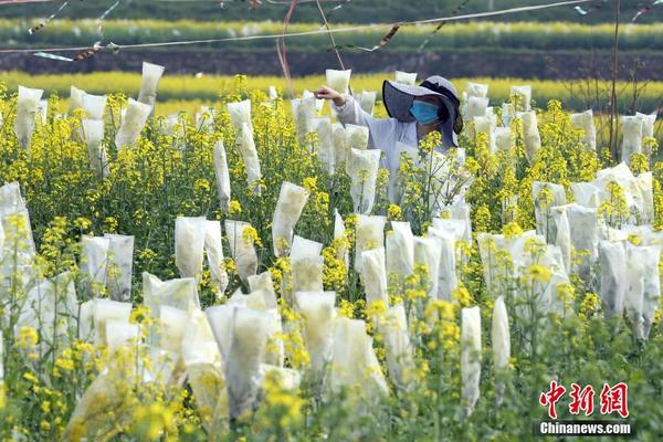 盤點(diǎn)體壇金豬寶寶：劉翔林丹閃耀