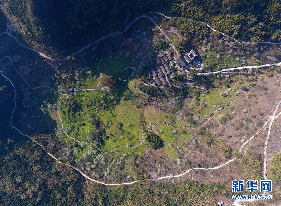 張玉良：4000億大基建算盤