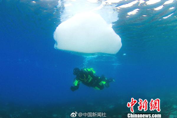 大家請瀏覽一下上海一兩的收藏與鑒賞