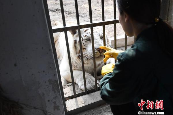 楊廣和李世民相比，差在了哪里？其實他離千古明君就差一步