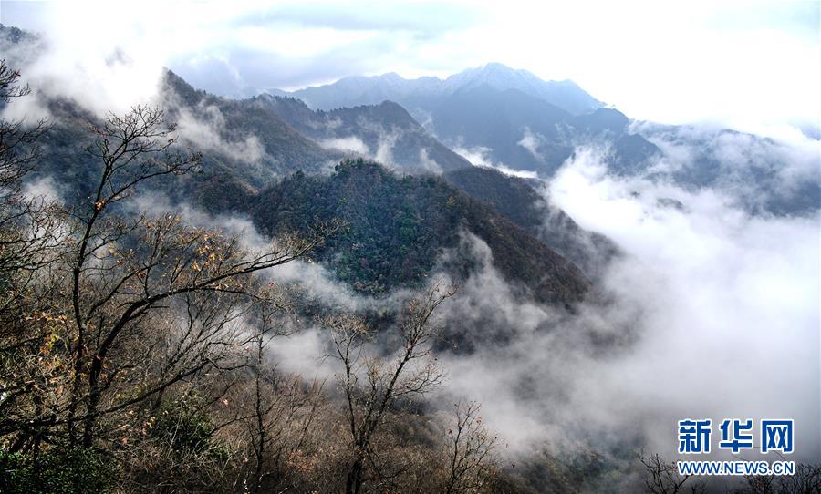 “出錢”“擴(kuò)招”，接好這份沉甸甸的“穩(wěn)就業(yè)”大禮包