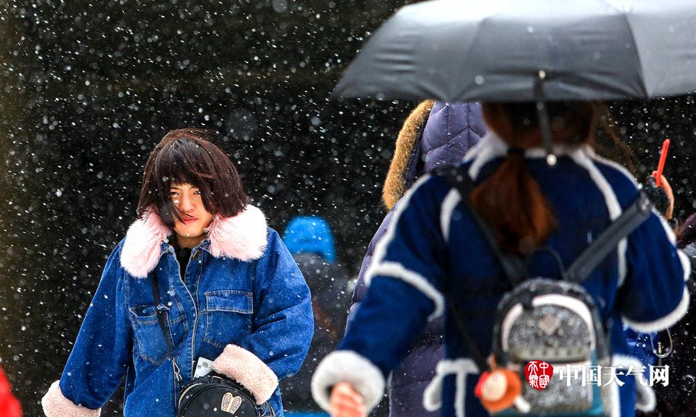劉亦菲懷抱愛犬溫柔甜美 恬靜似畫中人