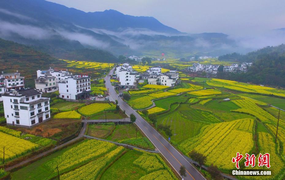 雷霆經(jīng)理：韋少并不完美還需改變 沒計(jì)劃炒掉多諾萬