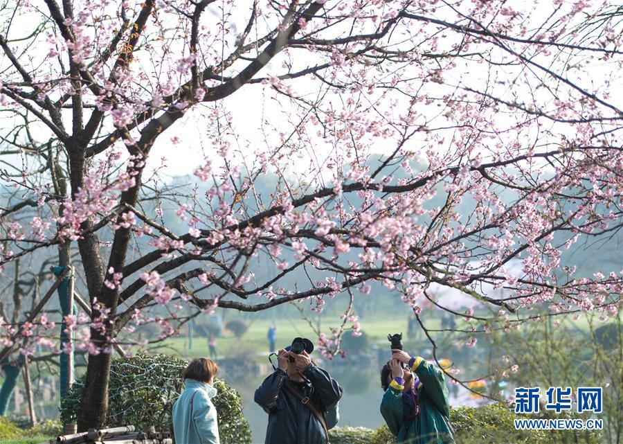 霍建華抱女兒出游照曝光