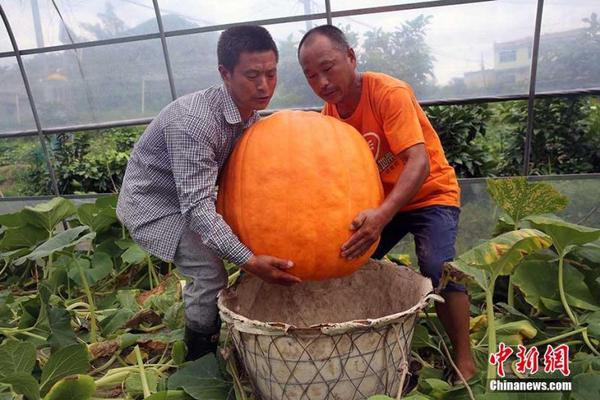 大樂透怪號仍造6注873萬1注追加 銷量2.2億