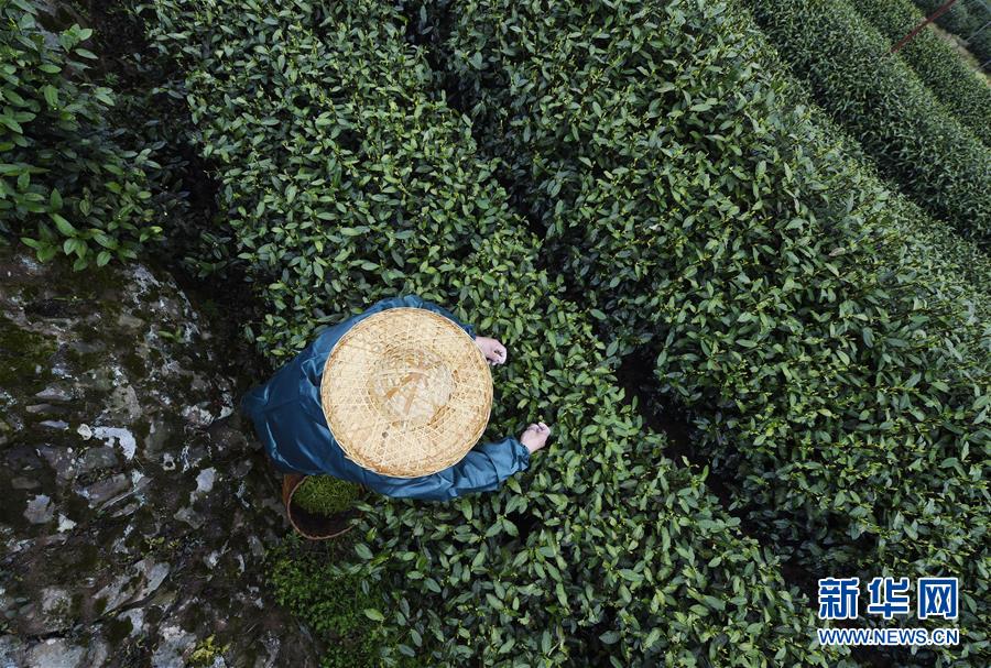 學(xué)校登記副科及以上家長(zhǎng)信息？