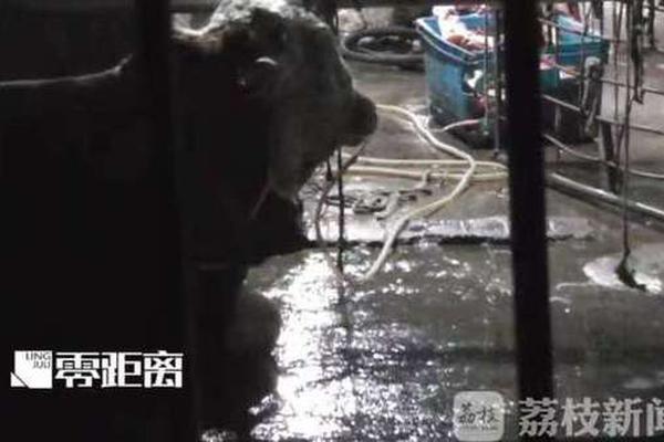 林志玲終于下決心要孩子了？本尊被曝正在日本準(zhǔn)備，進(jìn)行人工受孕