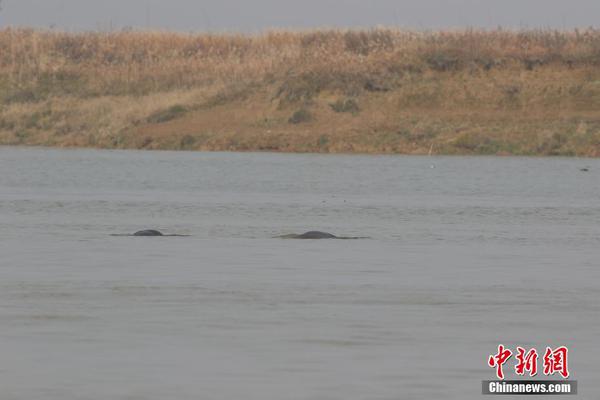 對話同一地點3次救輕生者司機