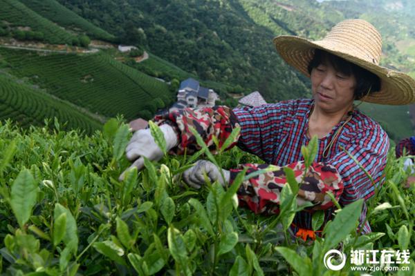 嘉都位于三河京平高速木燕路(北務出口)東500米