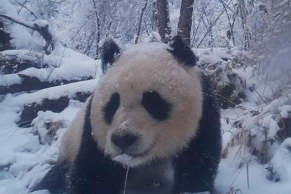 人類渴求不賣貨的直播間