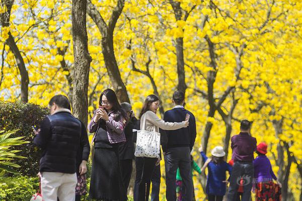 大餅：潮流易逝風(fēng)格永存，這個搭配套路火了100年(圖)
