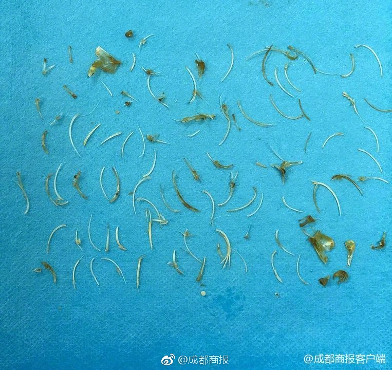 海外合作藝術特展面臨擱淺的背后與展望