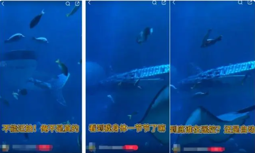 大餅穿搭札記：潮流易逝風(fēng)格永存，這個搭配套路..