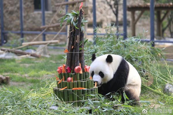 薩蘇：尋找黑水河之戰(zhàn)的真相