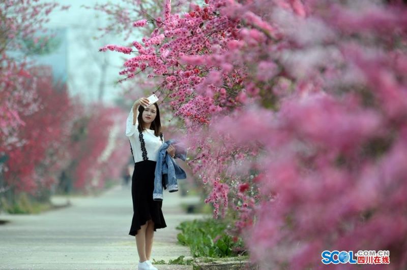 蘭州大學(xué)師生唱響《歌唱祖國(guó)》