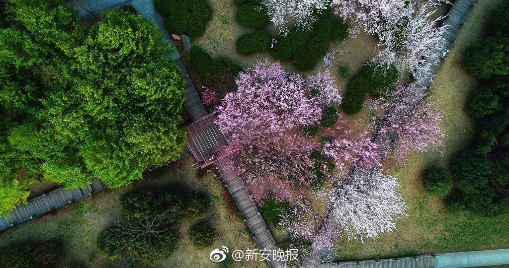 關羽秉燭讀《春秋》，背后隱藏什么深意？