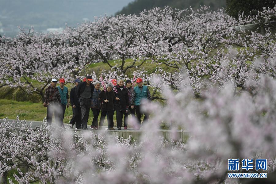 奚夢瑤的平板身材真“兄弟”？終于相信她和竇驍僅是同事了